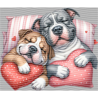 Valentine's Day-QRJ  4035